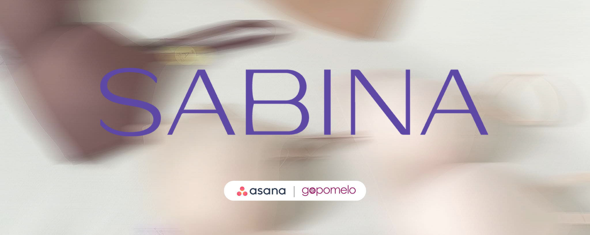 Customer Story | SABINA Maximize Efficiency and Collaboration with Asana