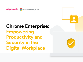 Chrome Enterprise: Empowering Productivity and Security in the Digital Workplace